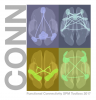 Graphic for CONN : functional connectivity toolbox